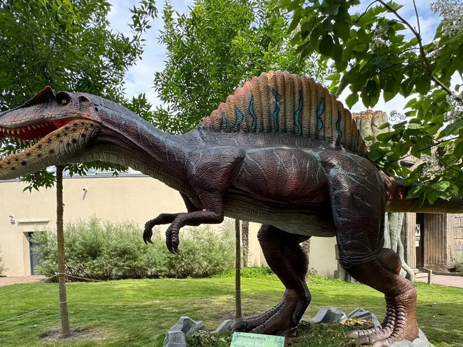 Dinosaurierwelt – mietbare Ausstellung von Camar Exhibitions