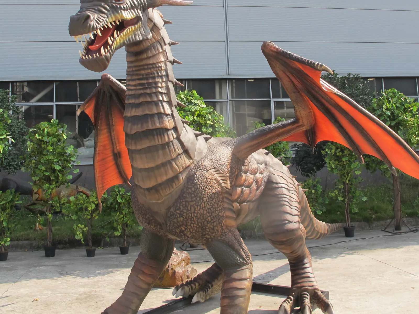 Drachen – mietbare Ausstellung von Camar Exhibitions