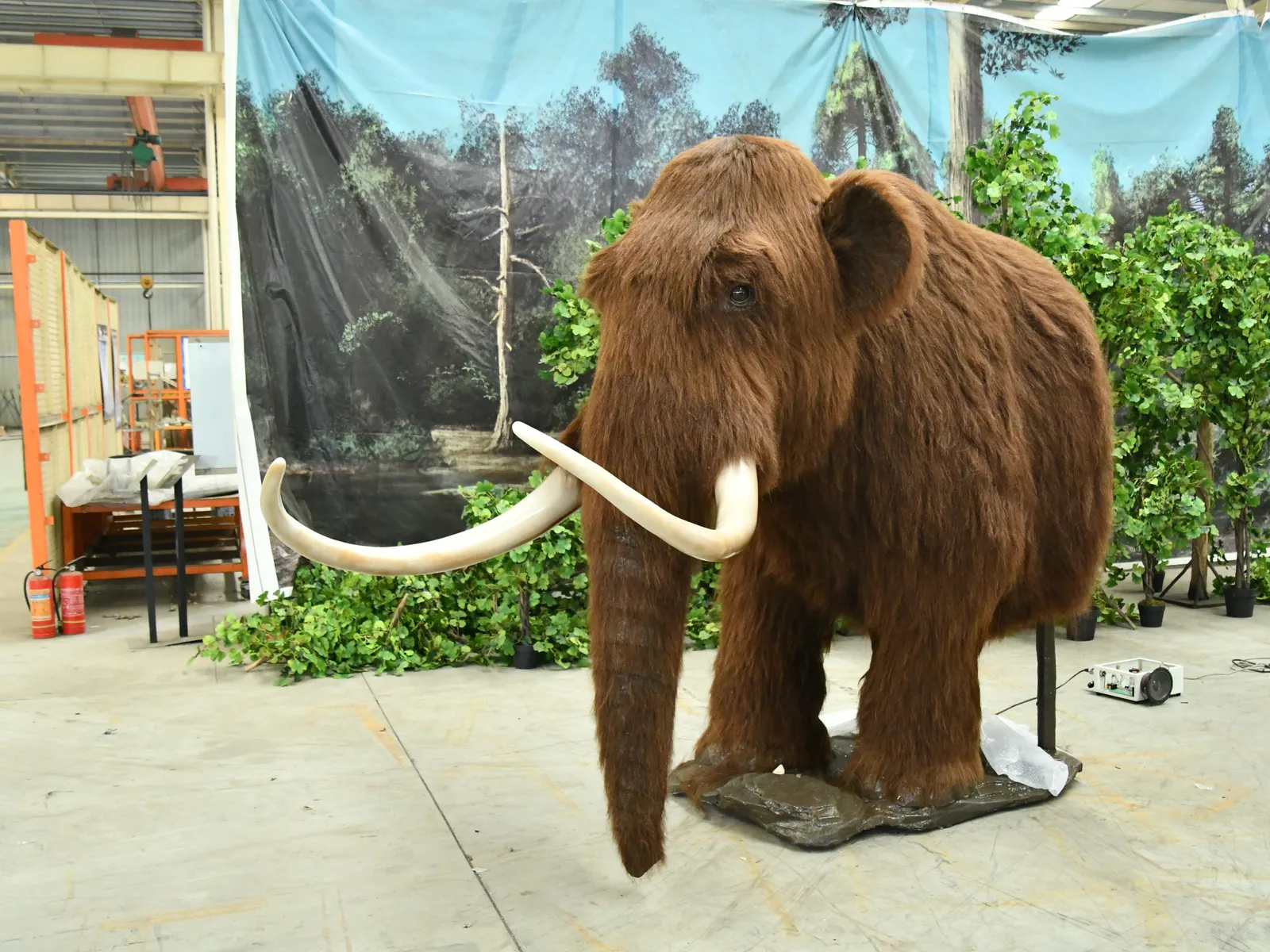 Eiszeit – mietbare Ausstellung von Camar Exhibitions