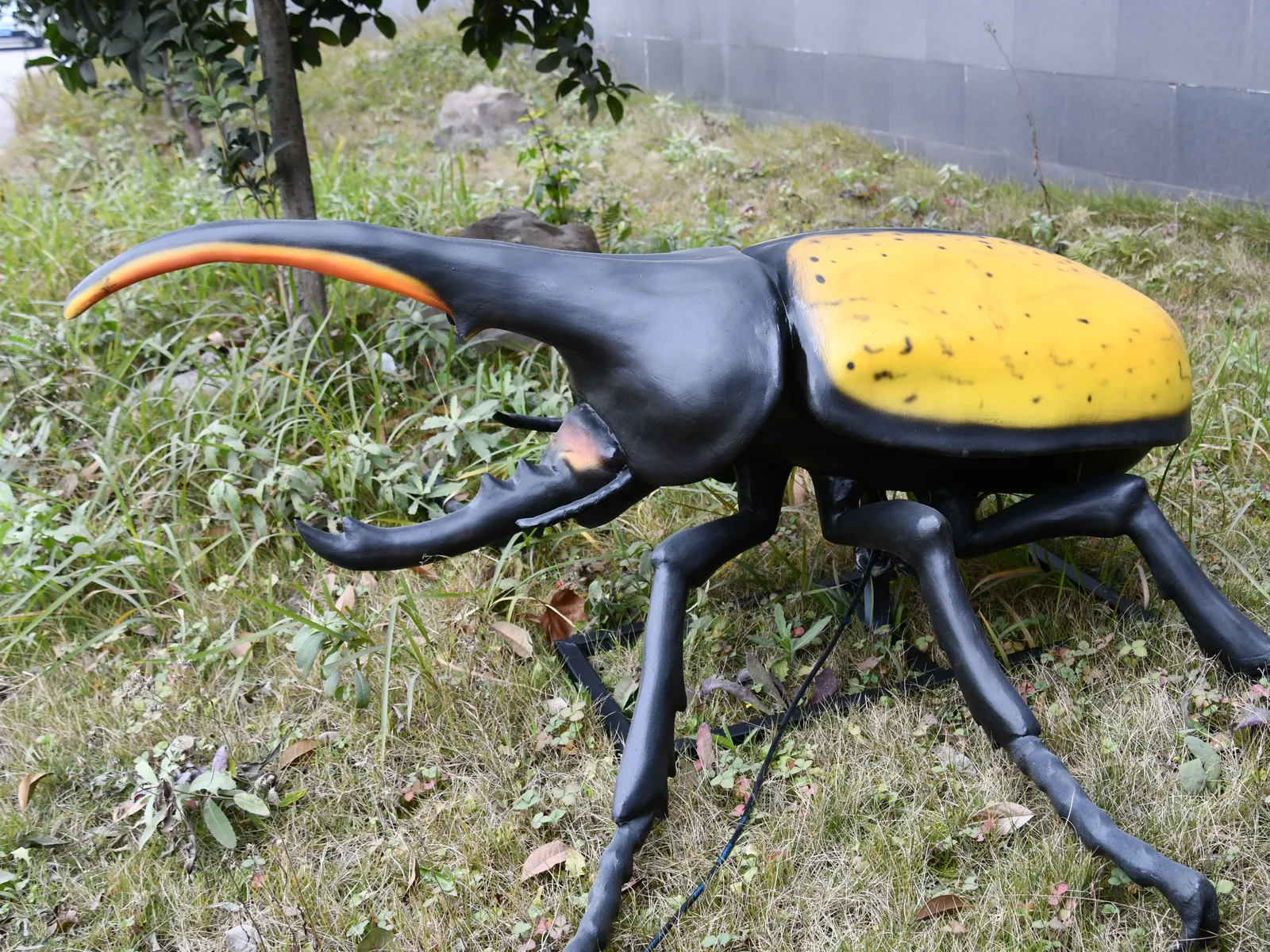 Insekten ganz groß – mietbare Ausstellung von Camar Exhibitions