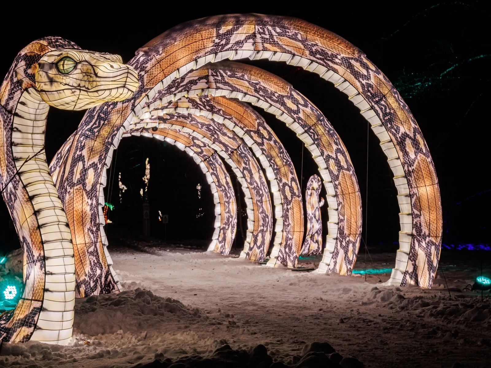 Laternen-Lichterfest – mietbare Ausstellung von Camar Exhibitions