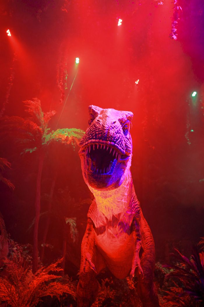 A fierce dinosaur displayed with vibrant lighting in a stage setting, creating an intense, captivating atmosphere.